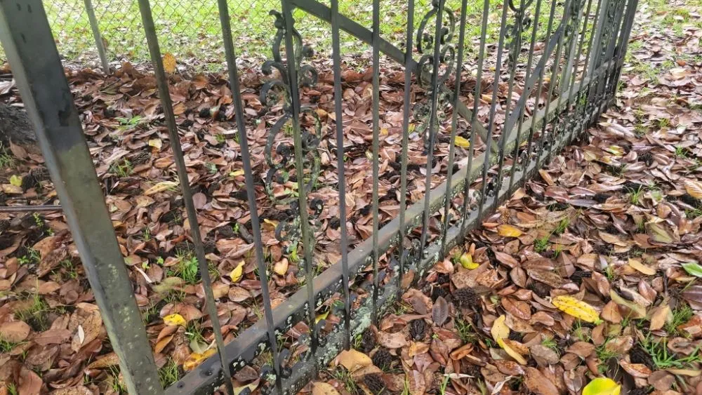 Affordable landscape installation experts serving Coushatta, LA - T&L Services