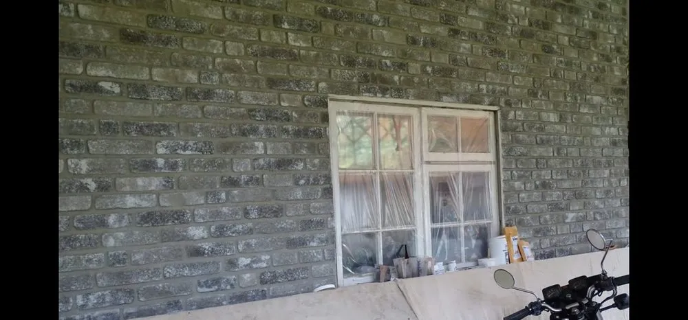 Custom yard cleanup service for homes across Erath, LA - T&L Services