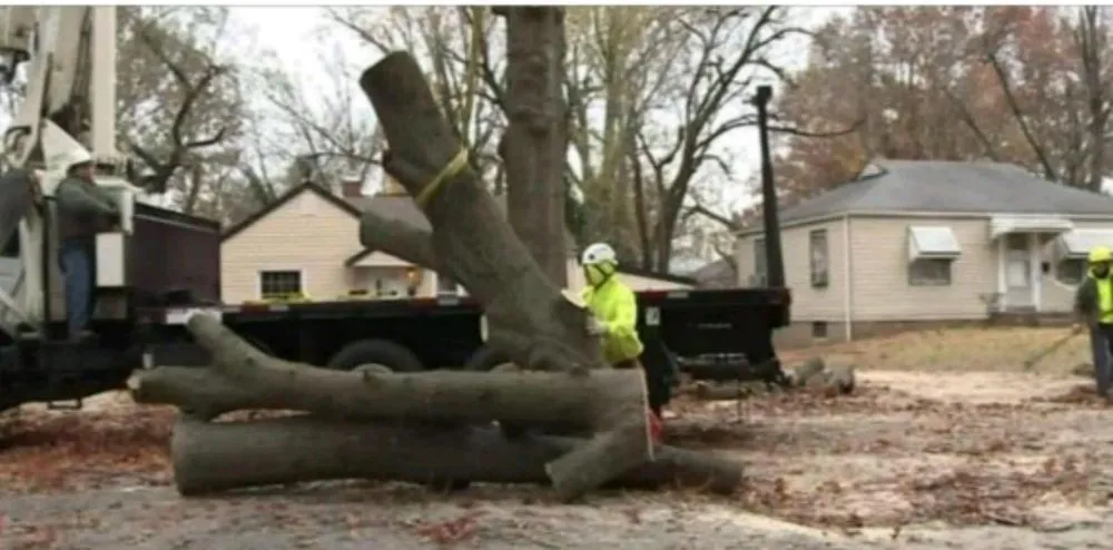 Expert landscape installation experts serving Hazelwood, MO - T&L Tree Service