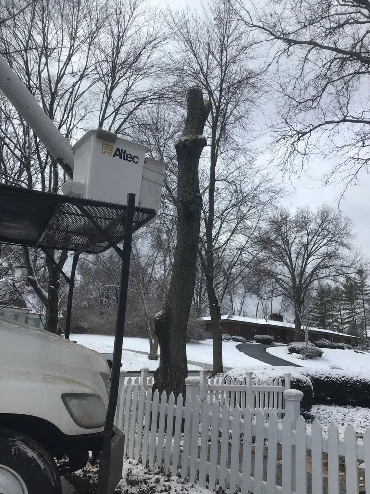 Local yard maintenance for outdoor upgrades in Hazelwood, MO by T&L Tree Service