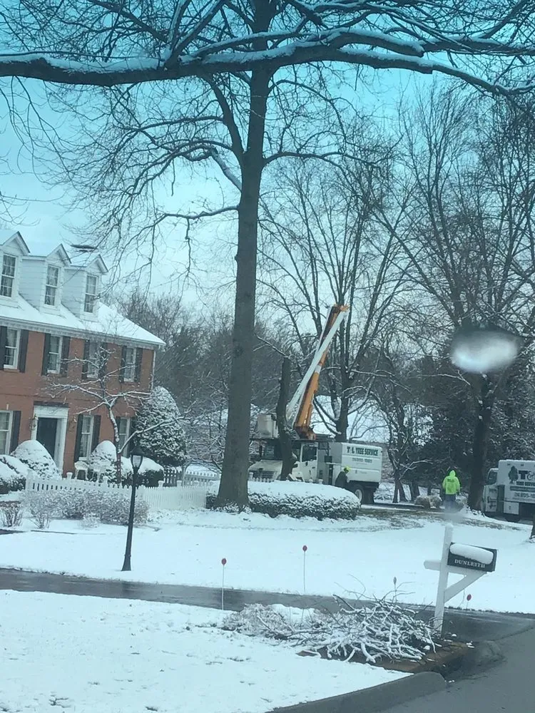 Expert landscape installation in Hazelwood, MO by T&L Tree Service