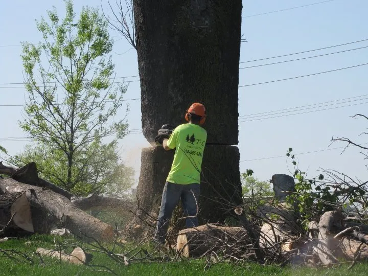 Trusted outdoor landscaping for beautiful yards in Hazelwood, MO by T&L Tree Service