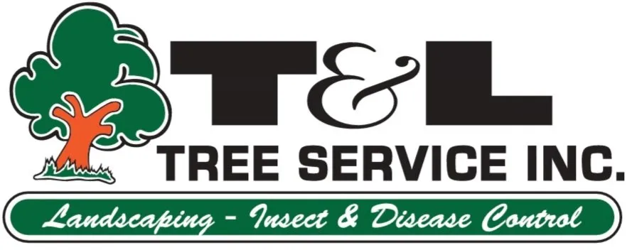 Trusted residential landscaping experts serving Hazelwood, MO - T&L Tree Service
