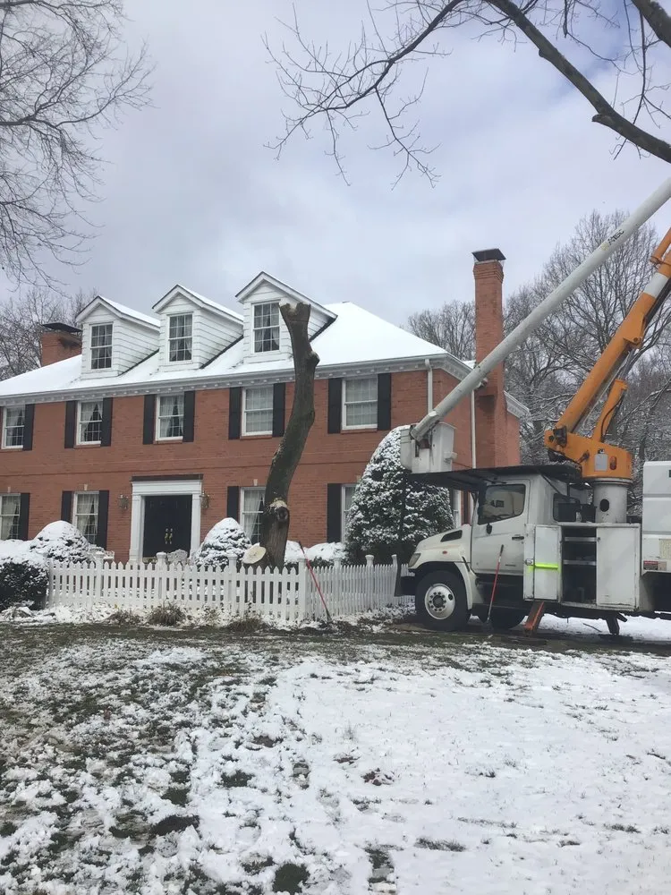 Top-rated garden landscaping near you in Hazelwood, MO by T&L Tree Service