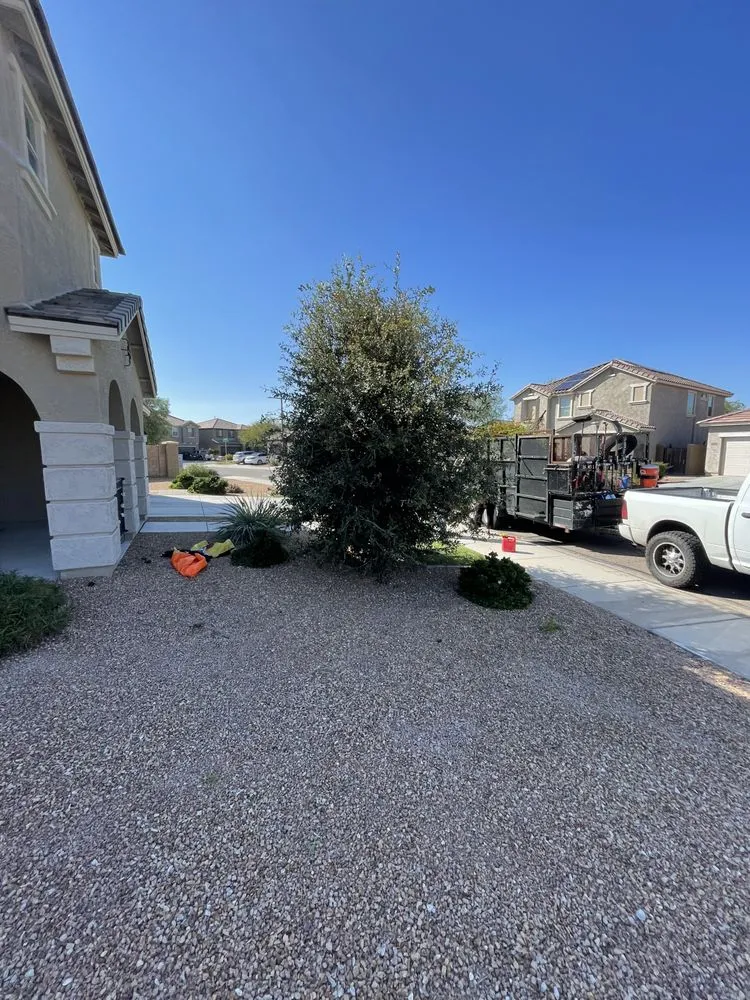 Affordable landscape installation in Phoenix, AZ - Tlacuache Landscaping