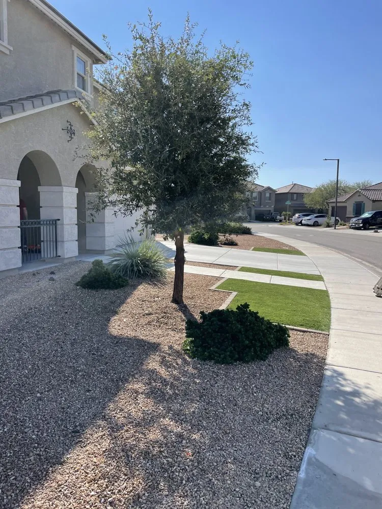 Local landscaping services experts serving Phoenix, AZ - Tlacuache Landscaping