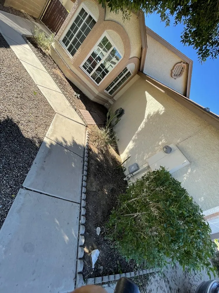 Expert residential landscaping for outdoor upgrades across Phoenix, AZ - Tlacuache Landscaping