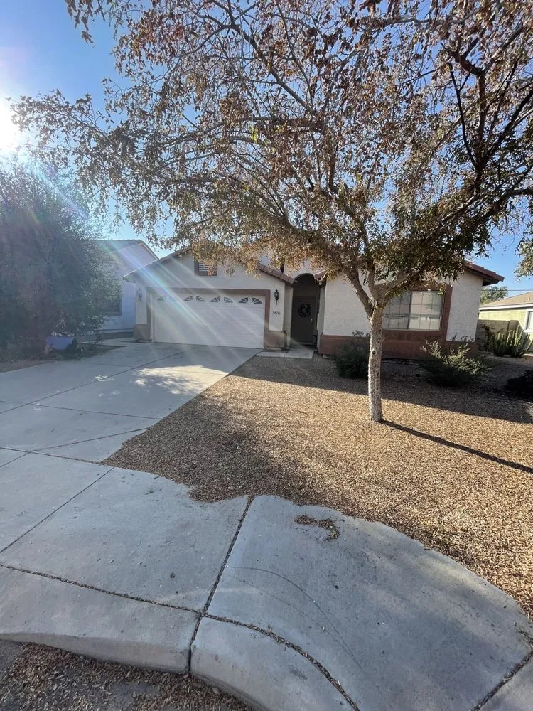 Trusted landscape design experts serving Phoenix, AZ - Tlacuache Landscaping