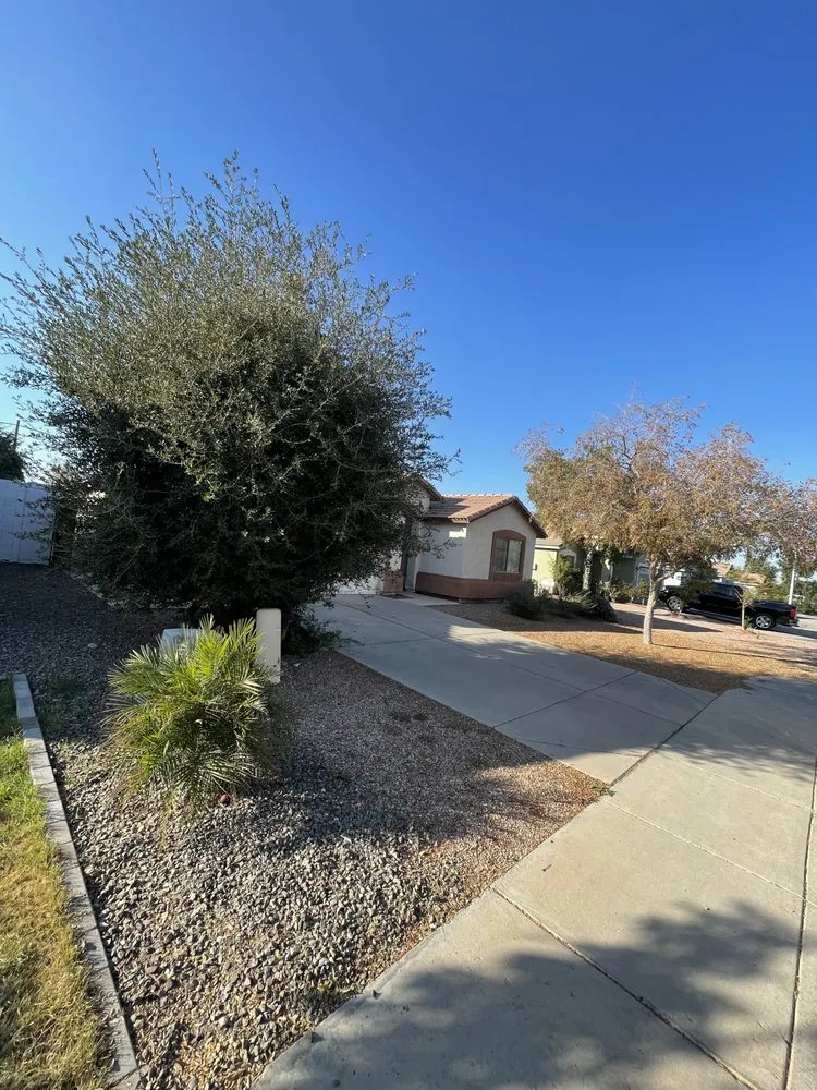 Local garden landscaping for year-round maintenance across Phoenix, AZ - Tlacuache Landscaping