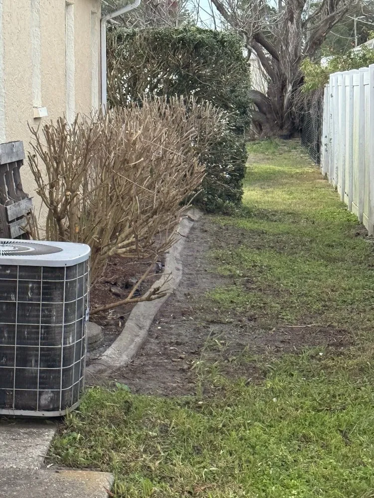 Reliable yard cleanup service in Brooksville, FL - TLB Landscaping & Maintenance