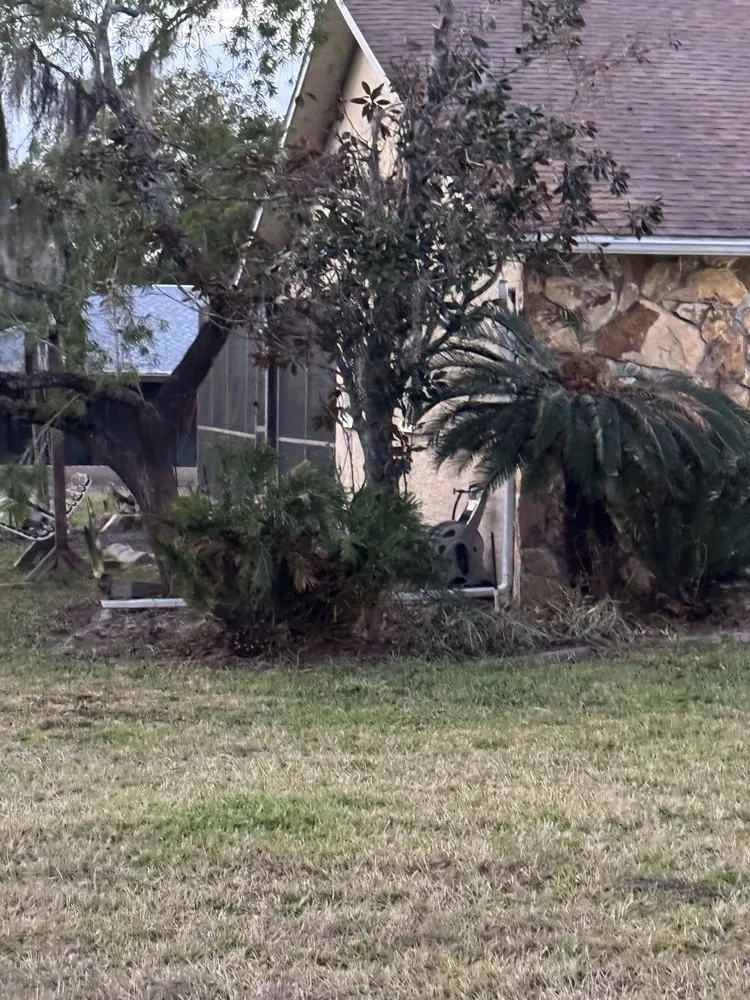 Expert lawn care service with custom design across Brooksville, FL - TLB Landscaping & Maintenance