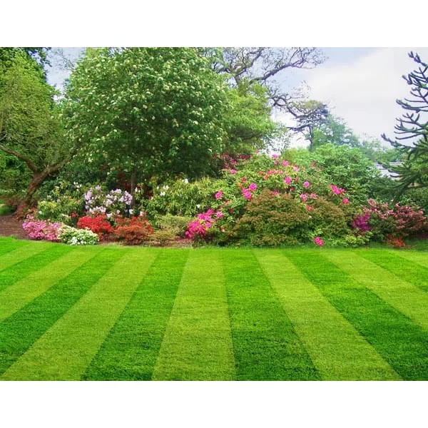 Affordable lawn care service for residential properties in Matthews, NC by TLC - The Landscaping Company