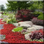 Local outdoor landscaping for homes in Matthews, NC by TLC - The Landscaping Company