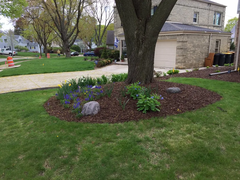 Expert yard cleanup service in Milwaukee, WI by T.L.C. Construction & Landscaping