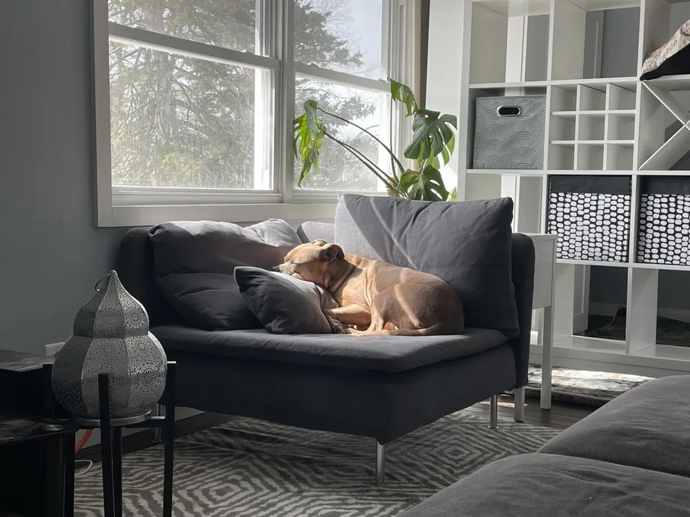 Reliable yard cleanup service for residential properties across Wauwatosa, WI - TLC Contracting