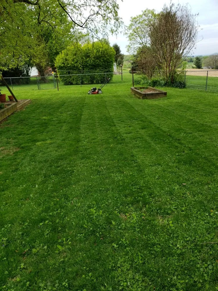 Trusted lawn mowing service experts serving Boonsboro, MD - TLC ENTERPRISE