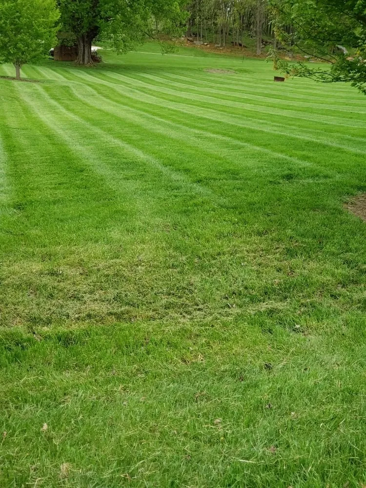 Reliable lawn care service in Boonsboro, MD by TLC ENTERPRISE