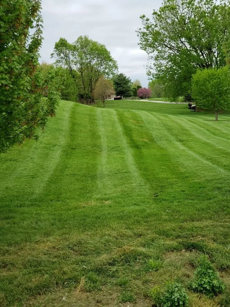 Top-rated outdoor landscaping near you across Boonsboro, MD - TLC ENTERPRISE