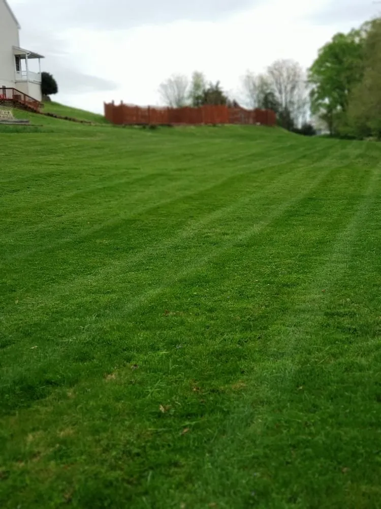 Local yard cleanup service in Boonsboro, MD by TLC ENTERPRISE