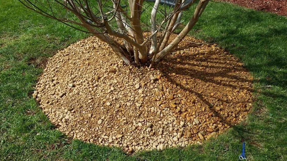 Professional lawn care service experts serving Boonsboro, MD - TLC ENTERPRISE