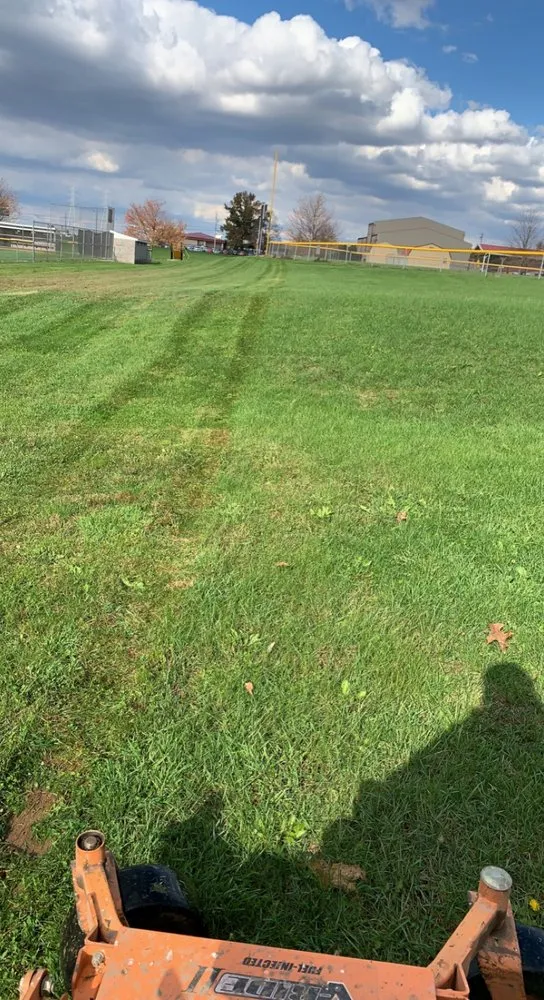 Top-rated landscaping services with custom design across Salem, OH - TLC Enterprize Lawn Tree And Hauling Services