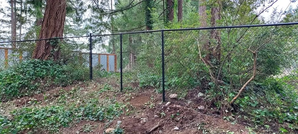 Professional yard cleanup service experts serving Chehalis, WA - TLC Fencing