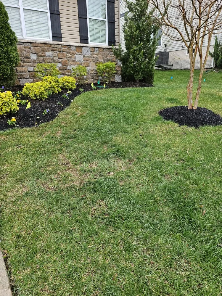 Reliable yard maintenance for residential properties in Gambrills, MD by TLC