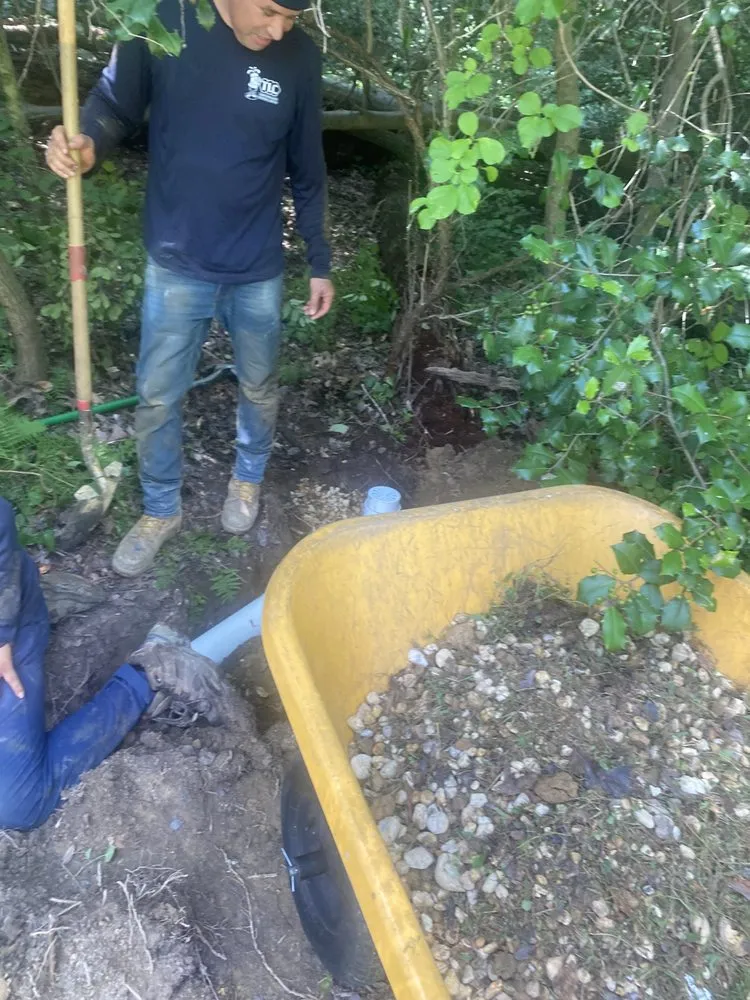 Top-rated landscape installation for year-round maintenance across Gambrills, MD - TLC