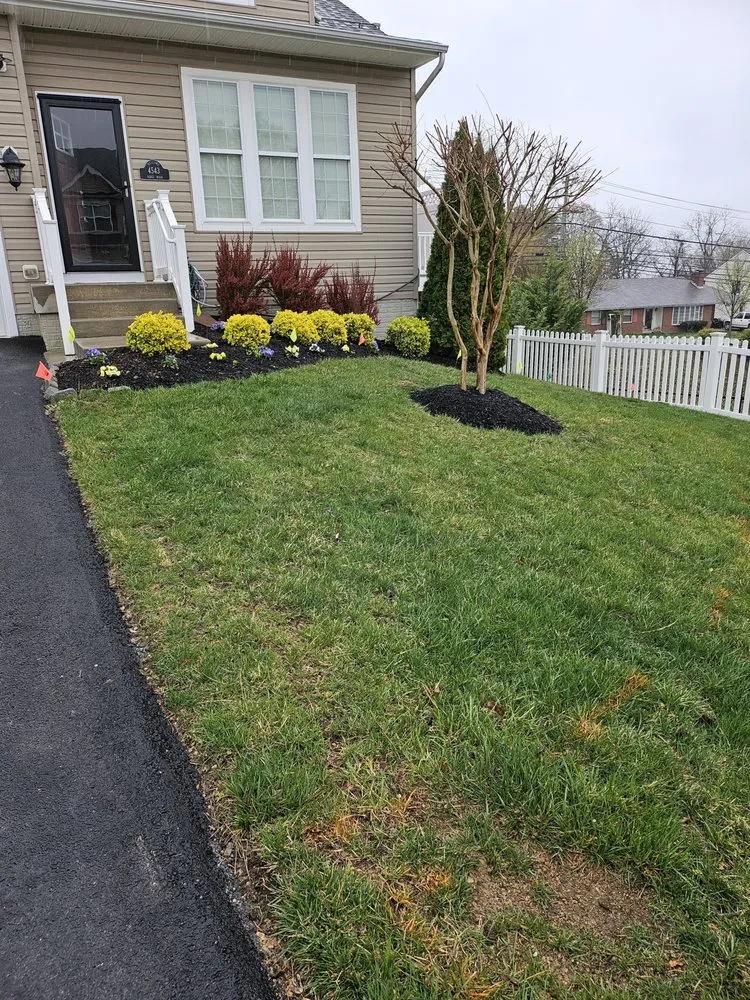 Reliable yard cleanup service experts serving Gambrills, MD - TLC