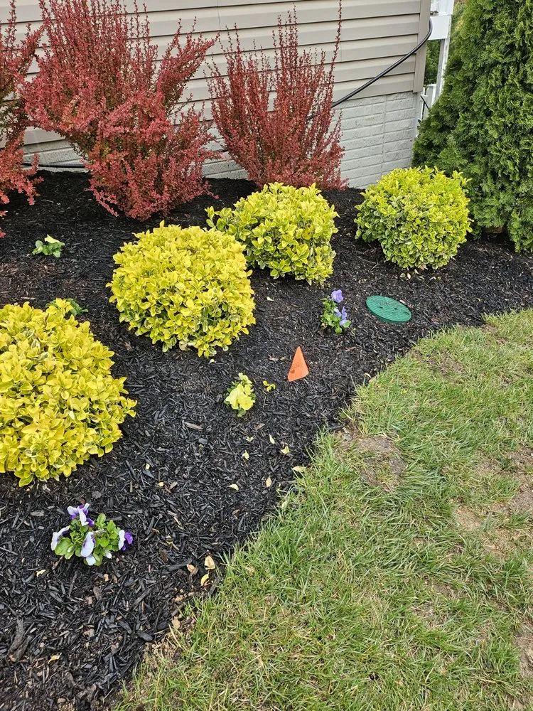 Reliable garden landscaping for homes across Gambrills, MD - TLC