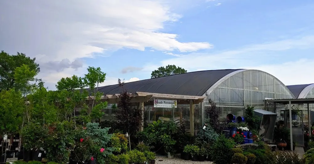 Professional yard cleanup service for outdoor upgrades across La Harpe, KS - TLC Garden Center
