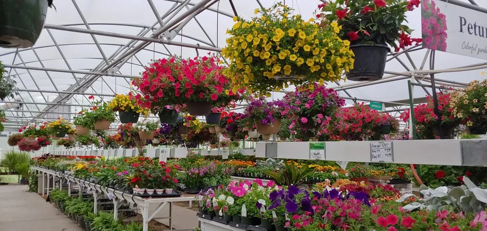 Custom landscaping services experts serving La Harpe, KS - TLC Garden Center