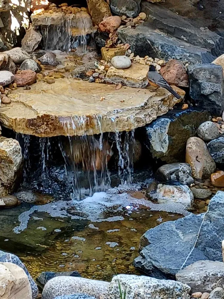 Local outdoor landscaping for residential properties in Arvada, CO by TLC Land Care