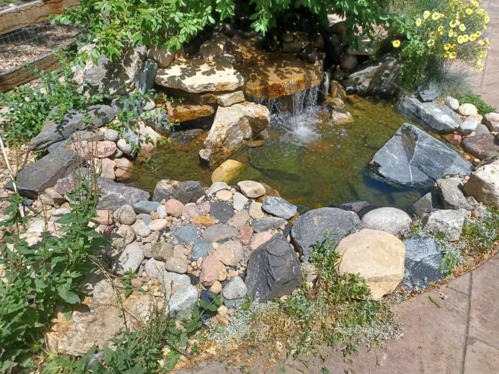 Affordable yard cleanup service with custom design across Arvada, CO - TLC Land Care