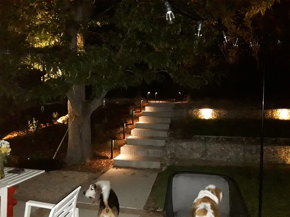 Affordable lawn mowing service experts serving Arvada, CO - TLC Land Care