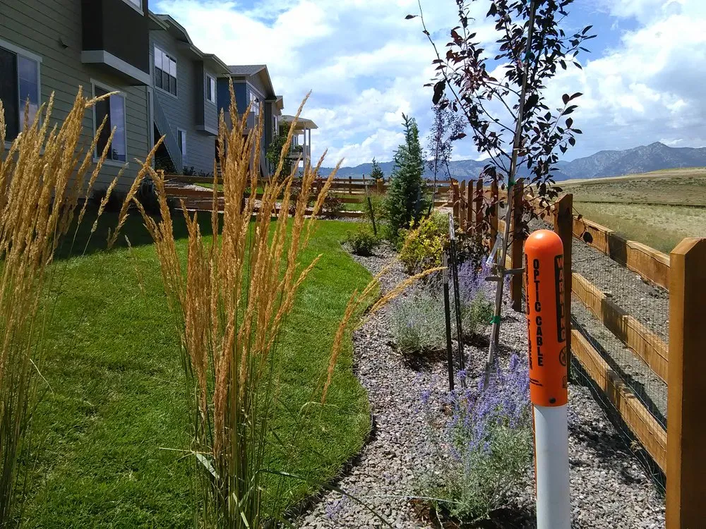 Custom lawn care service in Arvada, CO - TLC Land Care