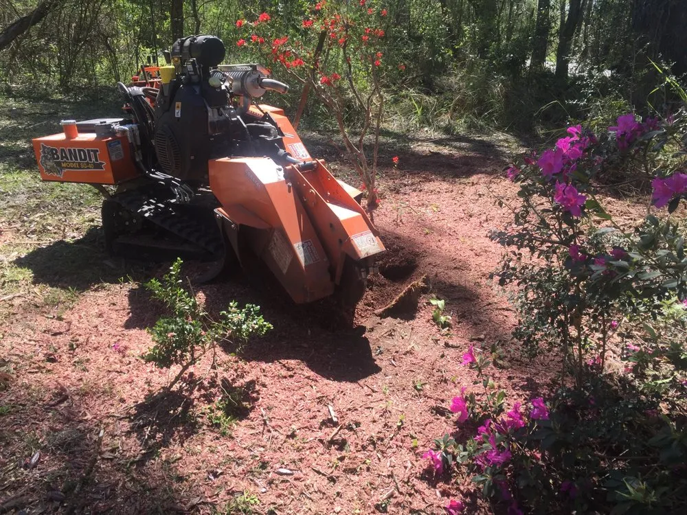 Reliable yard cleanup service in Tallahassee, FL by TLC Landscape & Stump Grinding