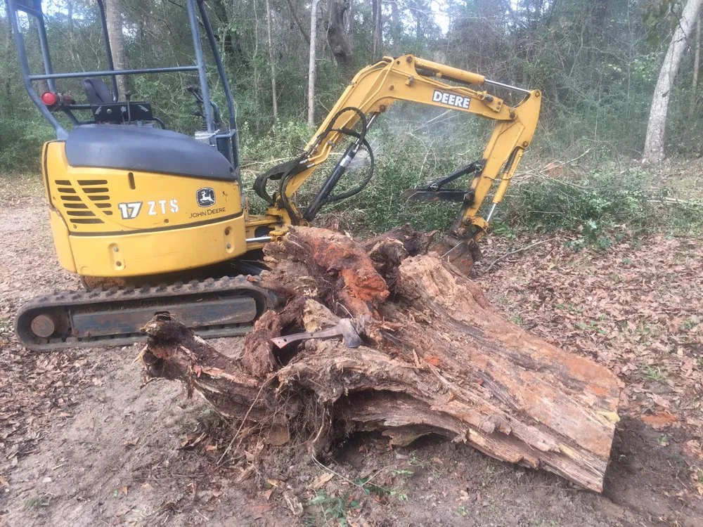 Top-rated residential landscaping near you in Tallahassee, FL by TLC Landscape & Stump Grinding