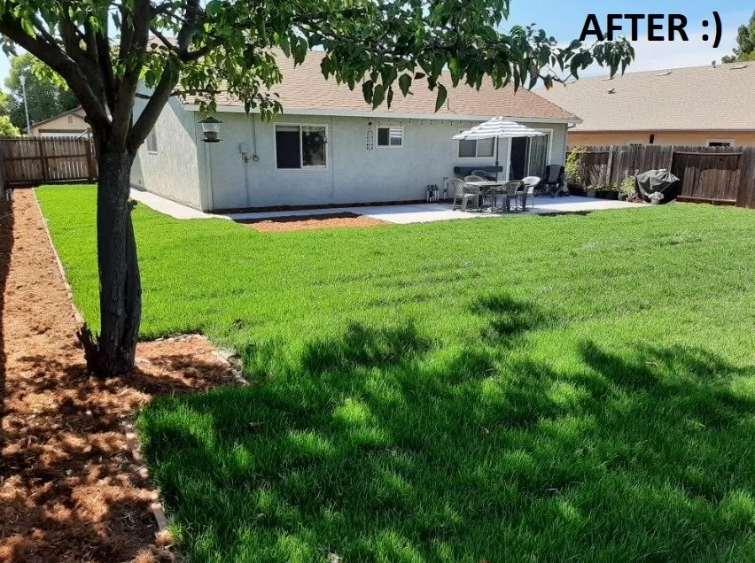 Local lawn care service in Sacramento, CA - TLC Landscape Services