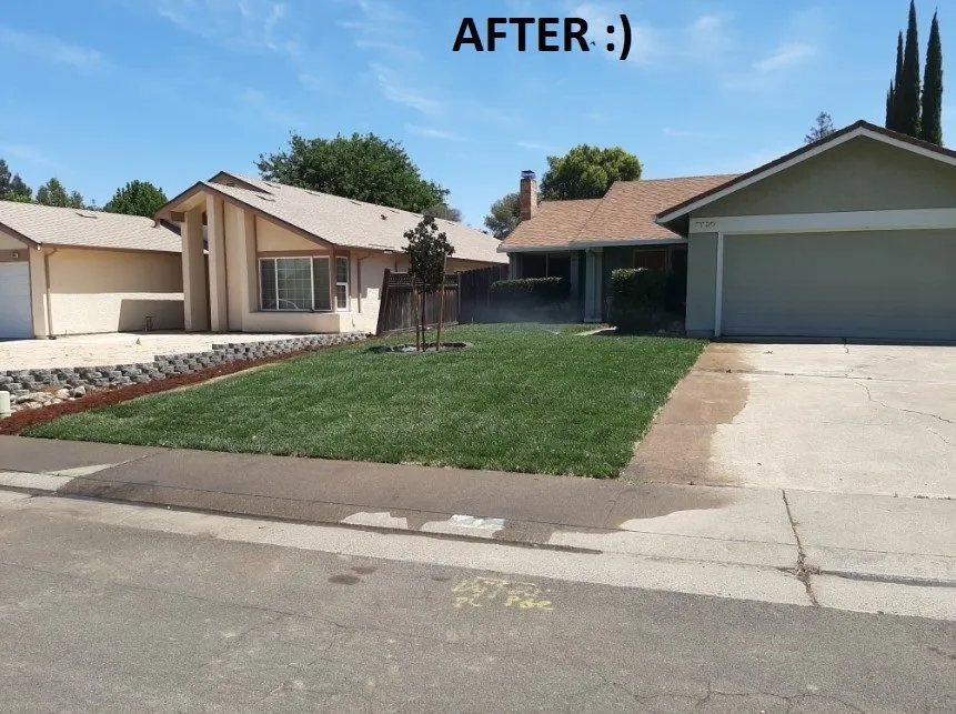 Local lawn care service for year-round maintenance in Sacramento, CA by TLC Landscape Services