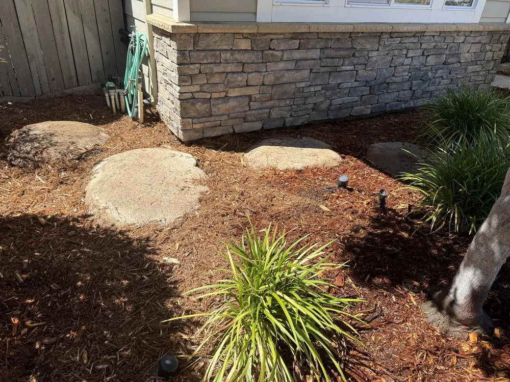 Top-rated yard cleanup service in Sacramento, CA - TLC Landscape Services