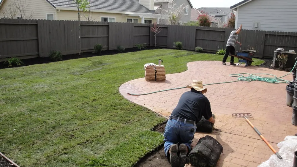 Expert yard cleanup service in Sacramento, CA by TLC Landscape Services