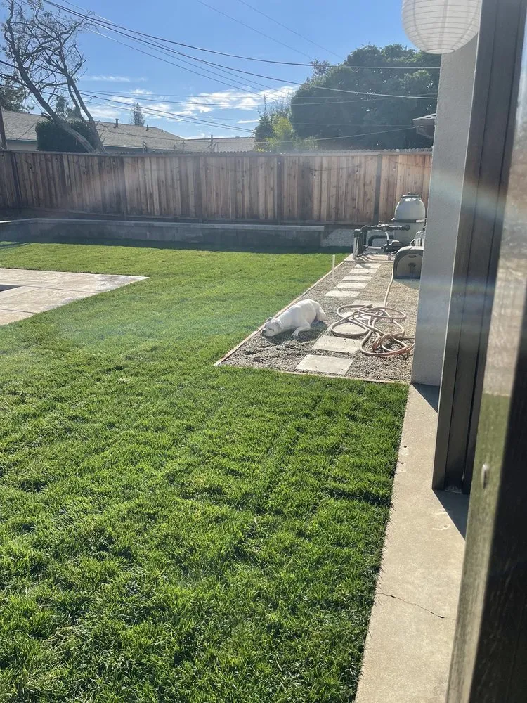 Local landscape installation for beautiful yards across Sacramento, CA - TLC Landscape Services