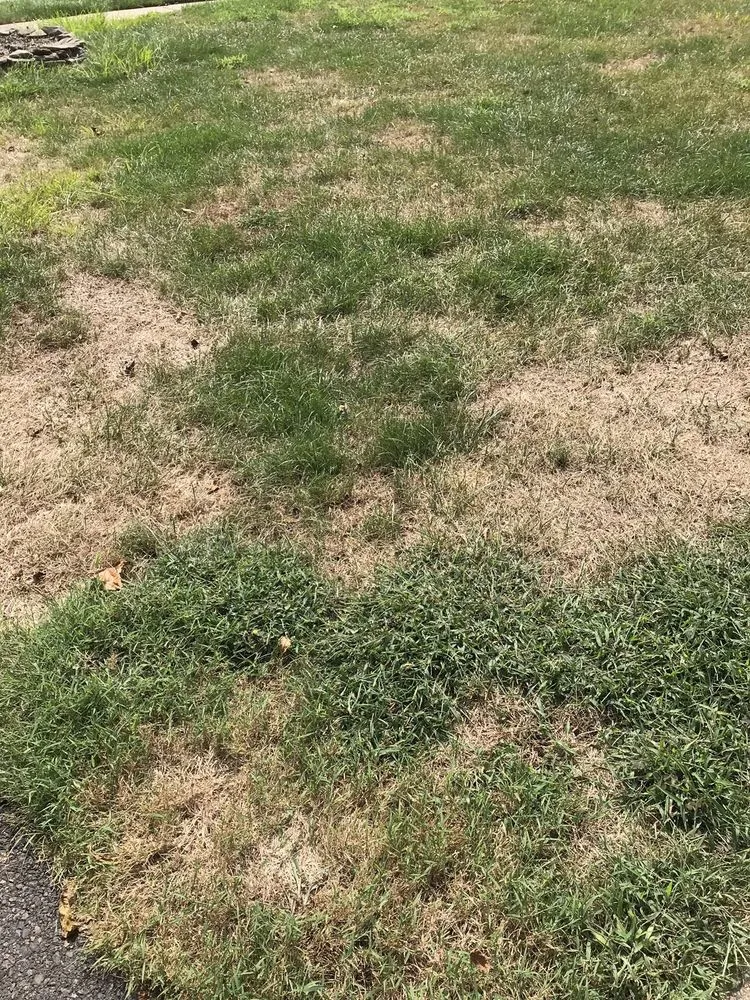 Top-rated landscape design for residential properties in Swarthmore, PA by TLC Landscape Services