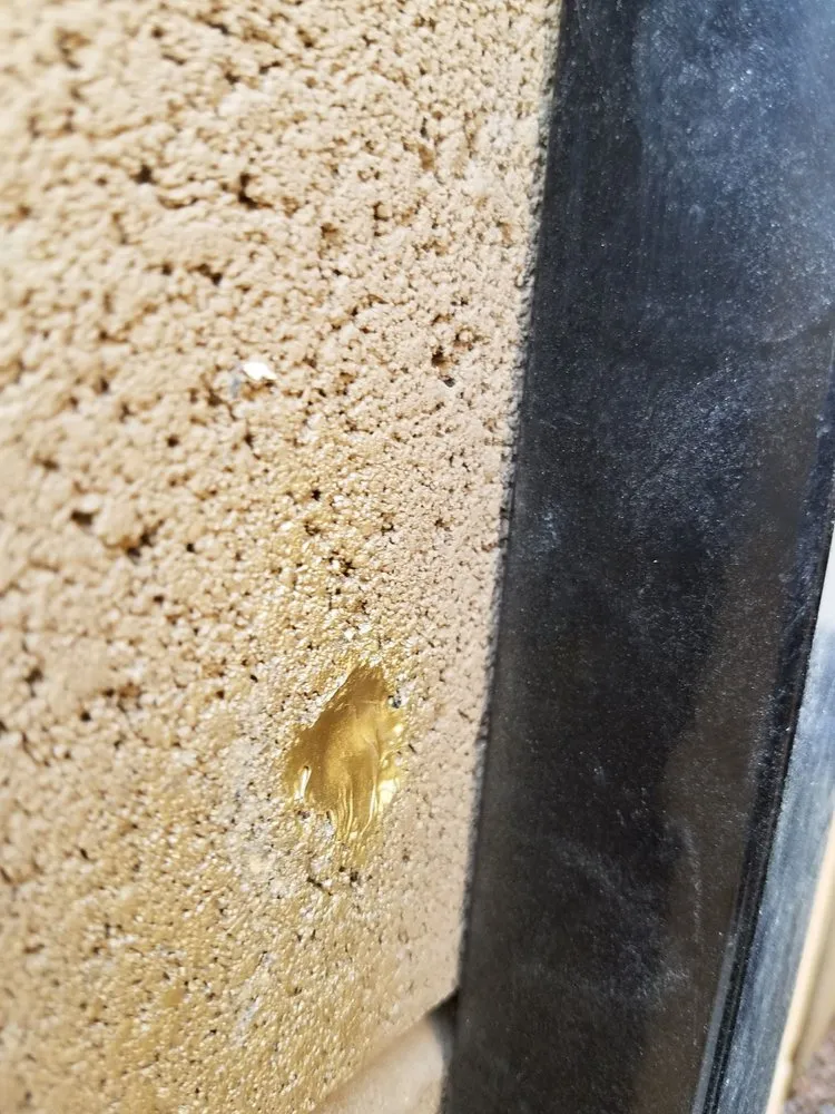 Top-rated landscape installation experts serving Surprise, AZ - TLC Landscaping & Maintenance