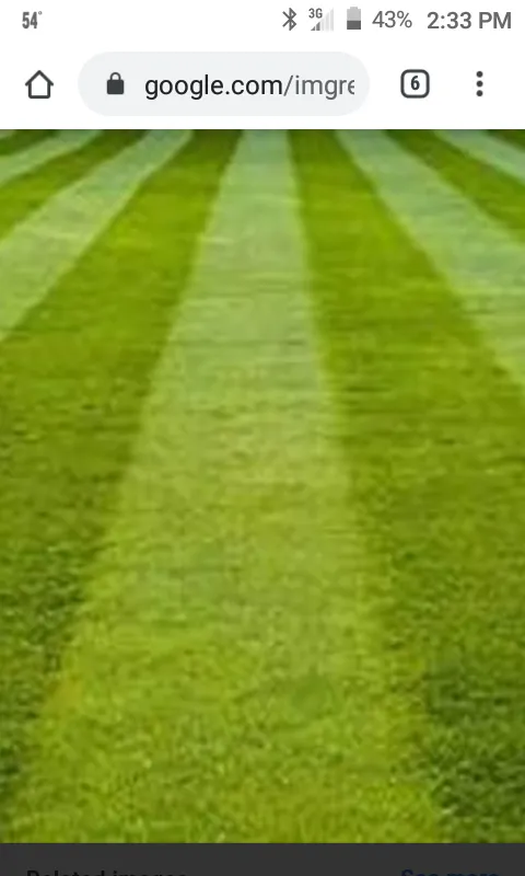 Reliable residential landscaping in Swansboro, NC - TLC Landscaping an Lawn care