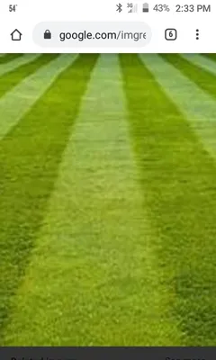 TLC Landscaping an Lawn care