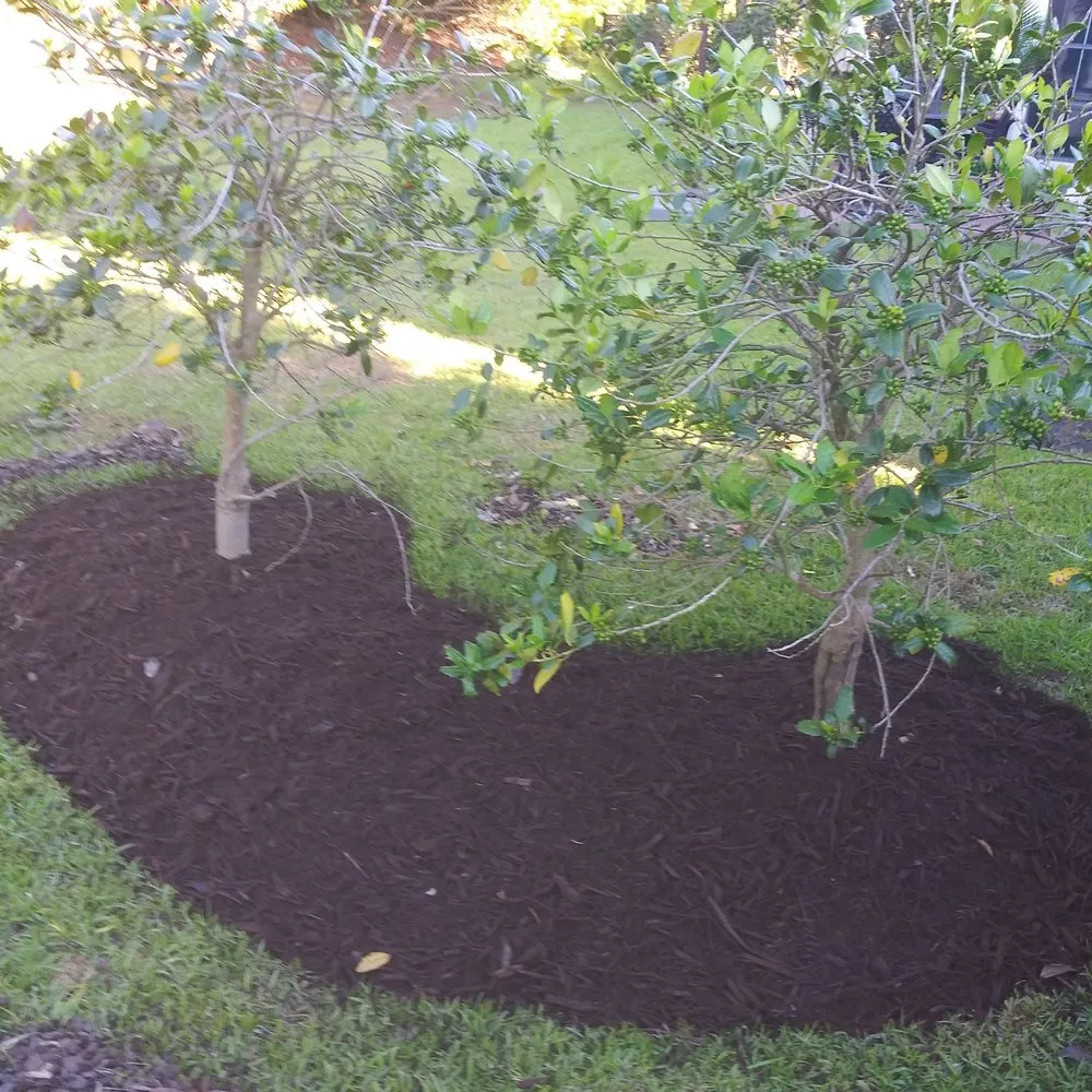Reliable garden landscaping for beautiful yards in Loris, SC by TLC Landscaping and Moore