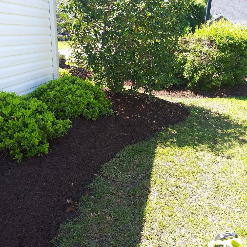 Top-rated yard cleanup service for residential properties across Loris, SC - TLC Landscaping and Moore