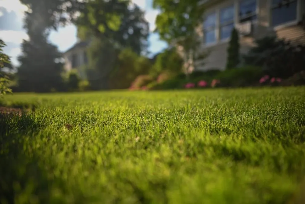 Top-rated yard maintenance in Glen Rock, NJ by TLC Landscaping